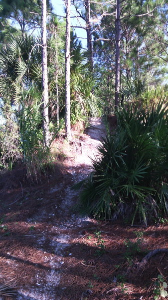 Exit from one of the natural hill features.