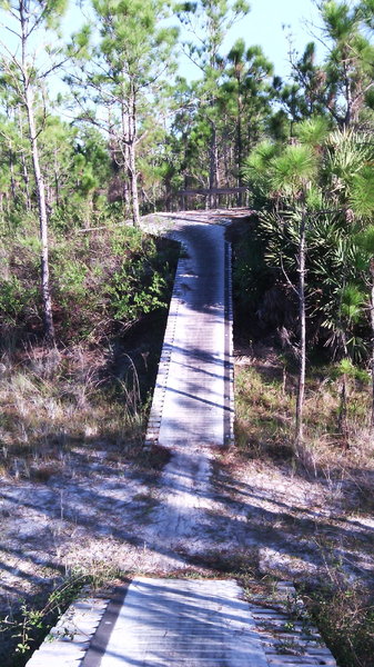 Man made climbing feature on The Hills Trail