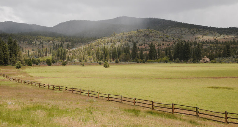 Spring in Susanville Ranch Park- Stonewall Trail