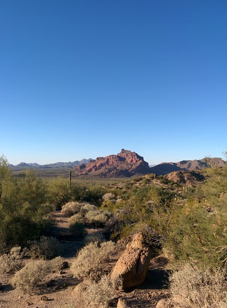 Wilde Horse Trail - Salt River Reservation