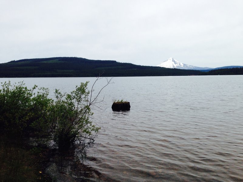 Mt. Hood in the distance above the Timothy Lake Loop