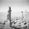 Antelope Island