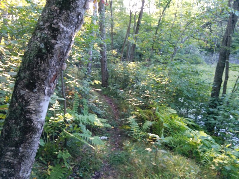 Bottom of the hill just before a switchback ascent.