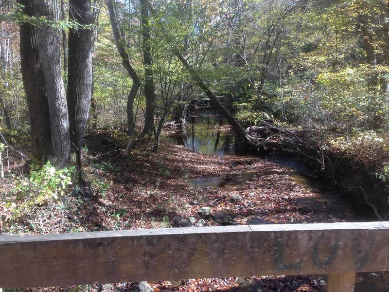 Jamison Creek from Orchard Loop Trail