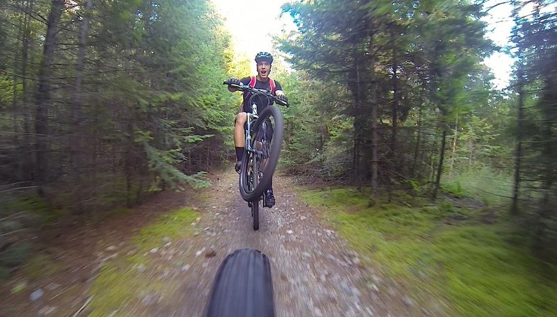 On one of the many trails inside Farragut State Park