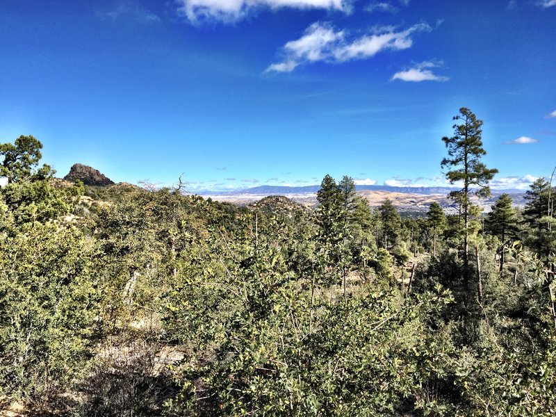 View of Prescott Valley and Mingus Mountain to the east- on #322 Circle Connection Trail