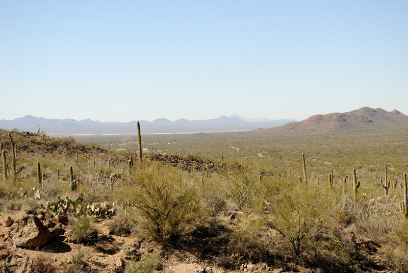 View of the desert