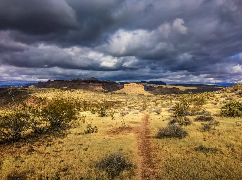 More amazing views. Foothills Rim Trail