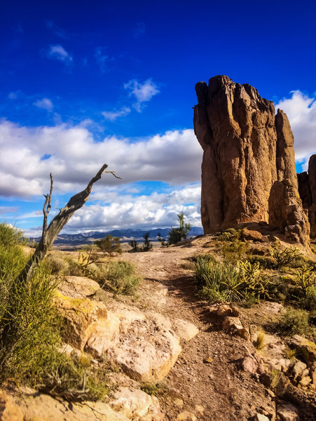 Just another fantastic view from Monolith Gardens Trail