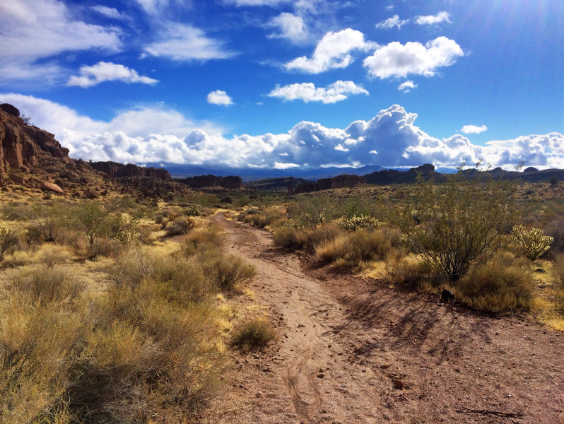 Looking back from Monolith Gardens Trail at all the mesas