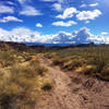 Looking back from Monolith Gardens Trail at all the mesas