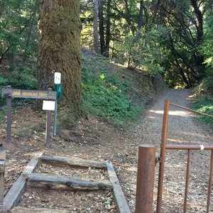 Gate entrance on Black rd.