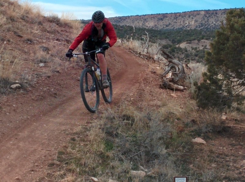 North end of Coyote Ridge