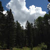 Storm clouds forming over the Borrego and Winsor Trails.