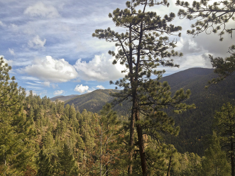 Great views off of Hyde Park Trail.