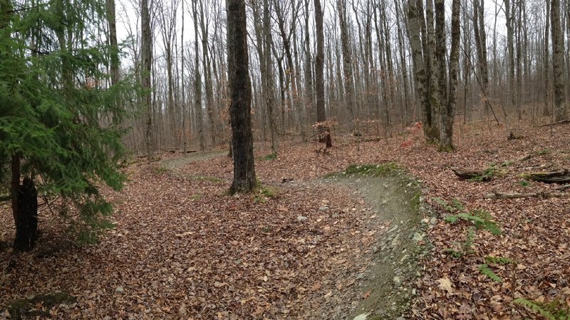 Some nice berms on the Jura-sic Park Trail (B1).