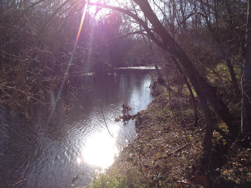 The beautiful Big Chico Creek off of Lower Trail.