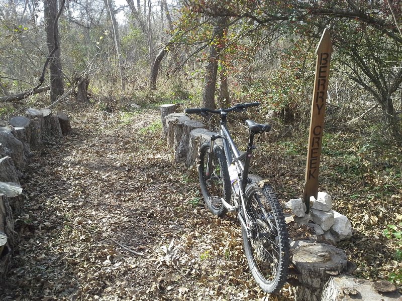 Singletrack leading towards Berry Creek