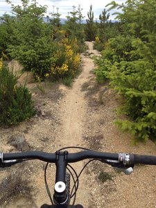 Somewhere on Blu Man Trail
