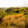 Descending Manana Trail in the golden light.