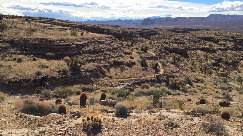 The singletrack on the the west side of The Ridge weaves and dips through canyons and ridges.