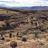 The singletrack on the the west side of The Ridge weaves and dips through canyons and ridges.