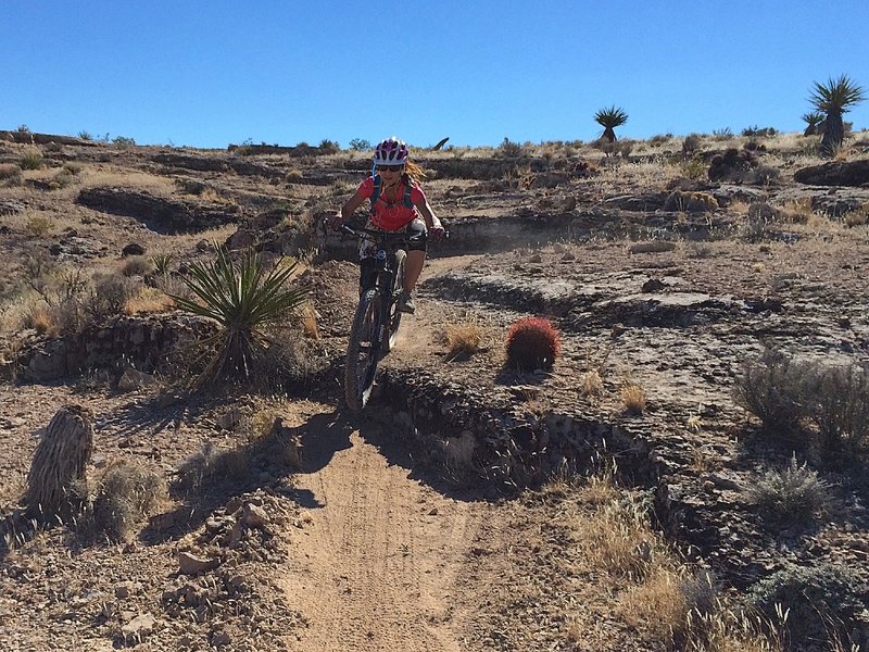 The SW Ridge Trail offers, by far, more 'ledge drops' than any other trail in Vegas.