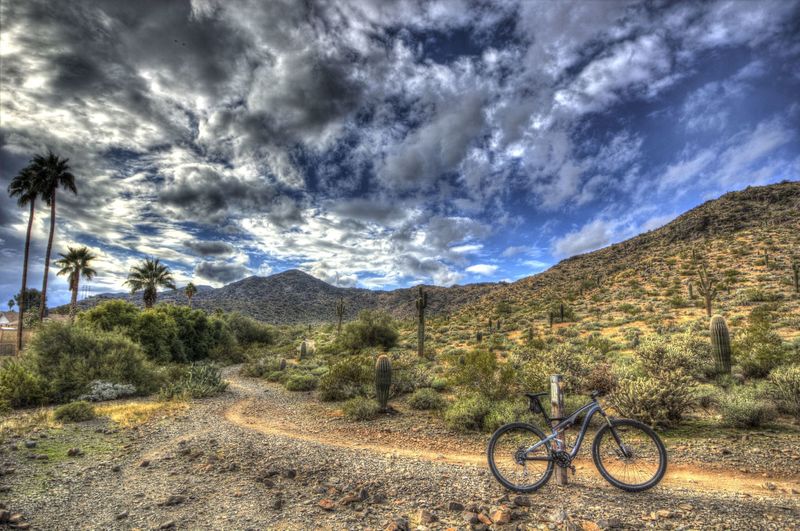 Desert Classic Trail