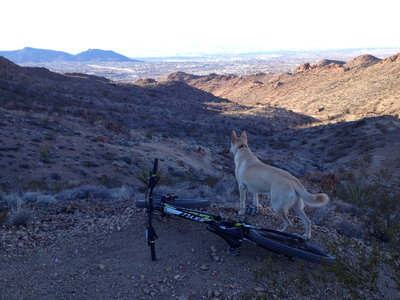 Escaping the city again