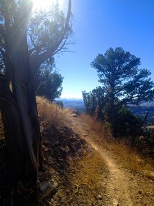 Island in the Sky. This is my most anticipated view when climbing Island, seeing the Wet Mountains through the trees.
