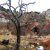 A short slick rock to navigate and more Unconformity to descend. This was in December 2012.