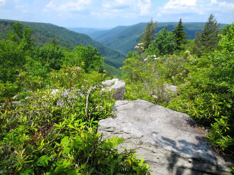 Overlook off Loop Road