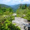 Overlook off Loop Road