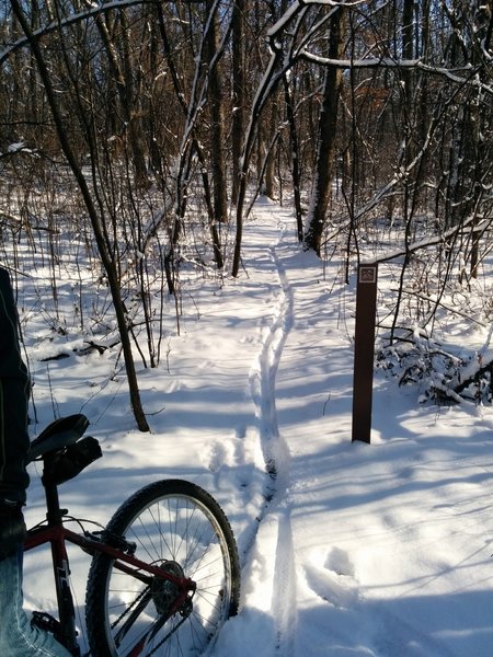 Fresh tracks!