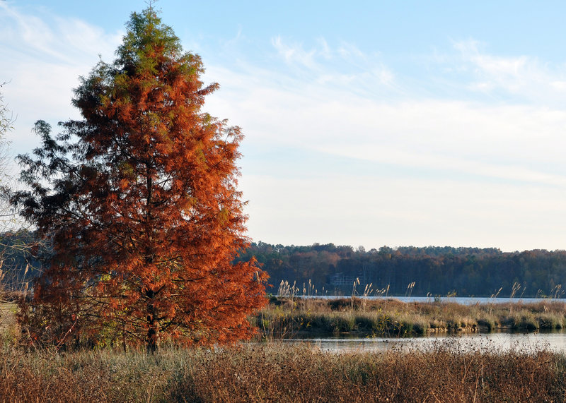 Fall colors at Lake Crabtree