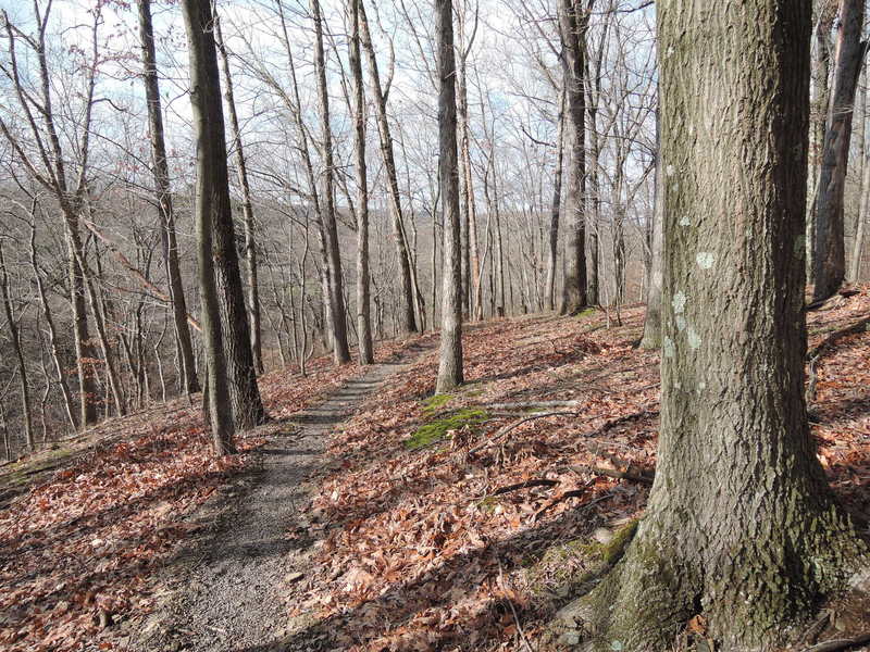 A flowy singletrack descent back to the parking lot- White Trail