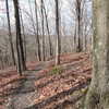 A flowy singletrack descent back to the parking lot- White Trail