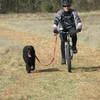 Biking along the Field Trail, on a chilly December morning.