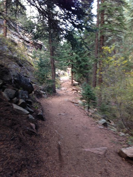 A minor technical section on Mason Creek Trail