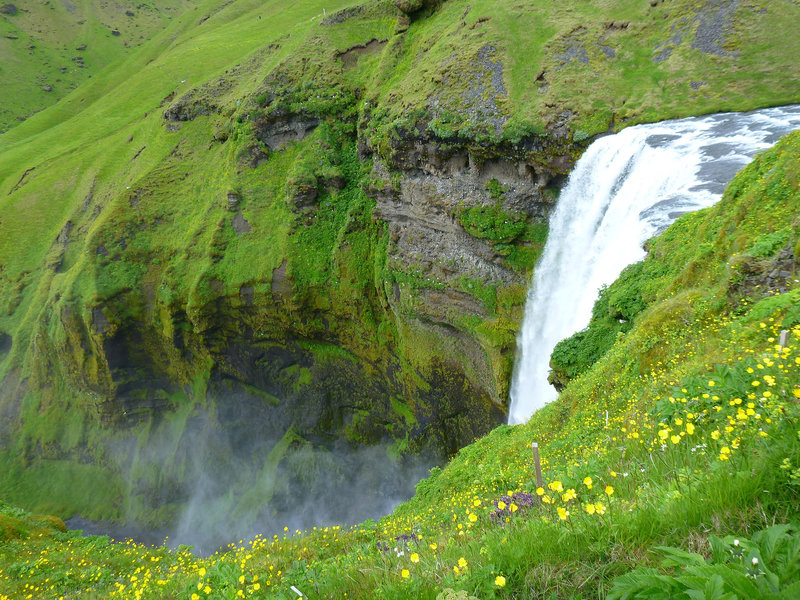 Falls & greenery!