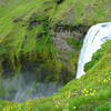 Falls & greenery!