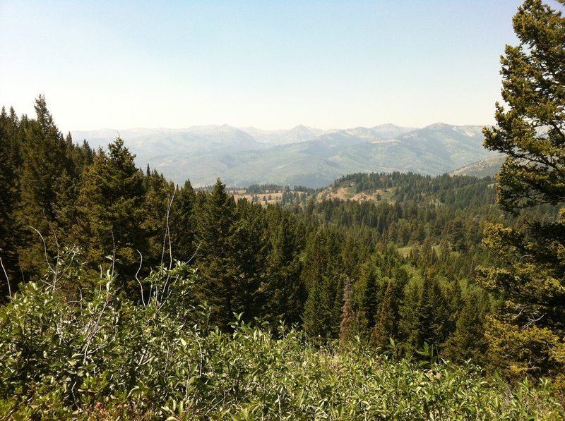 Near Pride Rock, Canyon View