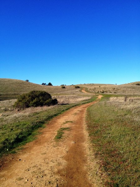 The winding Ridge Trail.