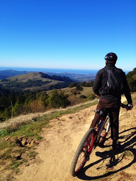 View from Ancient Oaks Trail.