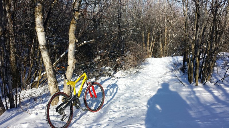 Starting the new year out right on City Creek Trail