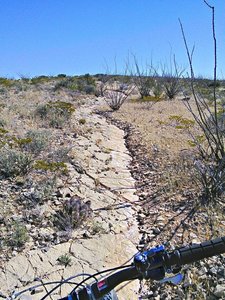Section of bedrock pavement