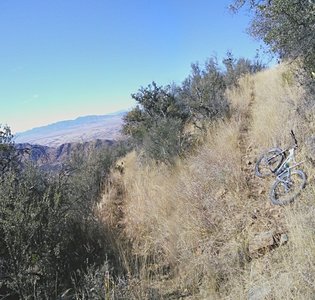 Switchback