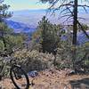 View of Stockton Pass and playa to the west- from Shake Spring Trail