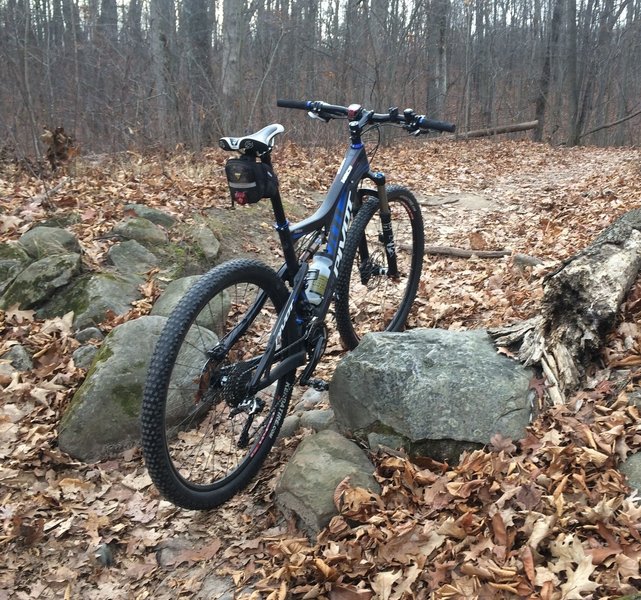 Short rock garden at the entry of the A loop makes an excellent filter to indicate what lies ahead on the trail.