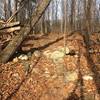 Another great example of the use of filters as this rock garden on the short two way connector from the B loop to the C loop warn the rider of what to expect on this technical C loop extension.